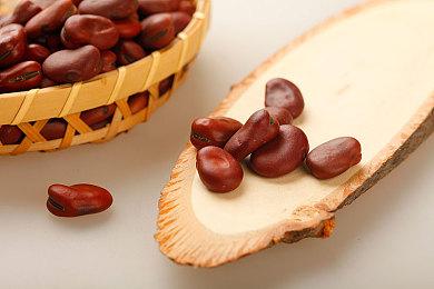 IGN评B社九大最佳游戏 《上古卷轴4：湮灭重制版》未入围